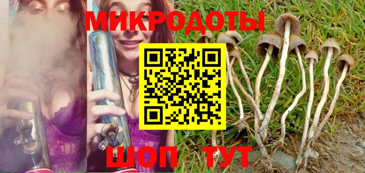 Псилоцибиновые грибы Psilocybine cubensis Похвистнево