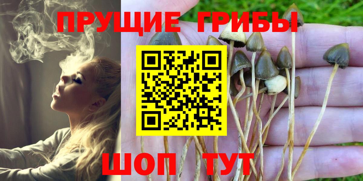 Псилоцибиновые грибы прущие грибы  Вход с VPN  Похвистнево 
