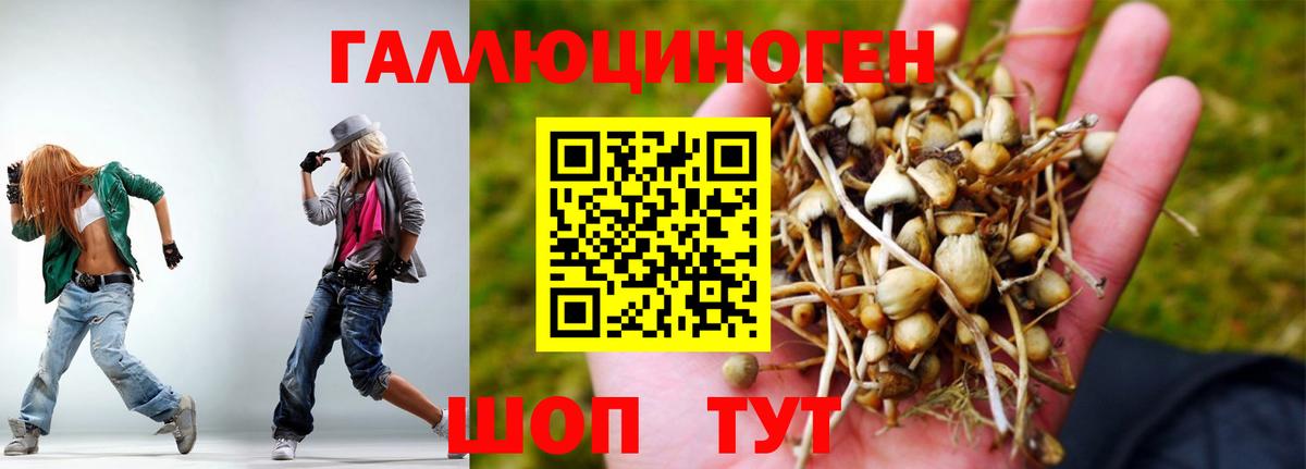 Галлюциногенные грибы GOLDEN TEACHER  Псилоцибиновые грибы мицелий  Вход с VPN  Похвистнево 